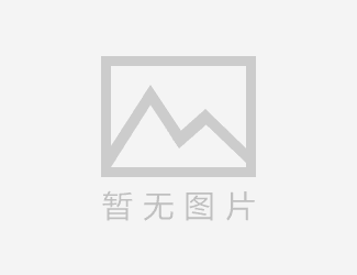 企业seo独立站搭建